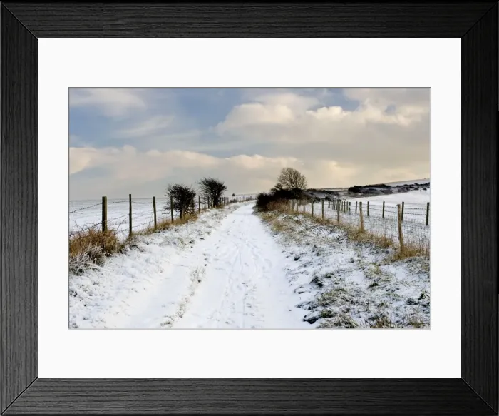 Framed Print : Picture No. 10877600 Framed Print : Picture No. 10877600