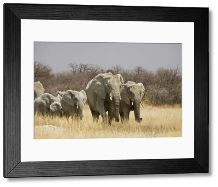 Framed Print : Picture No. 10879350 Framed Print : Picture No. 10879350