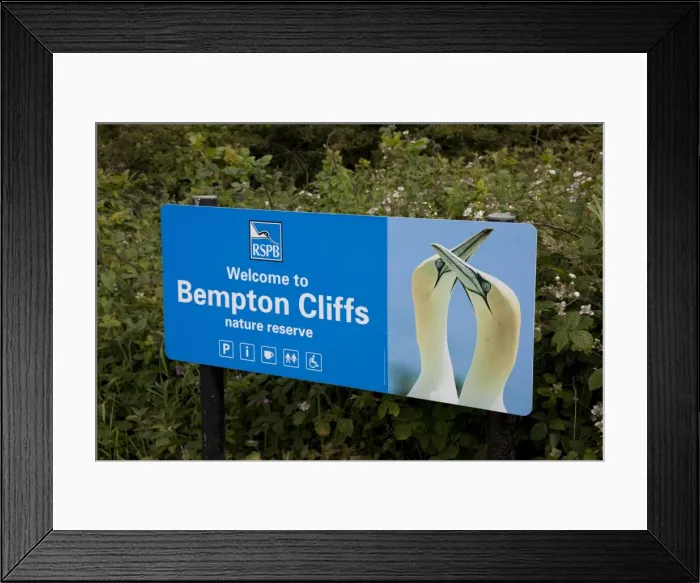 Framed Print : Picture No. 10880667 Framed Print : Picture No. 10880667