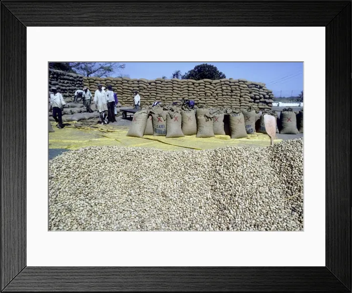 Framed Print : Picture No. 10880715 Framed Print : Picture No. 10880715