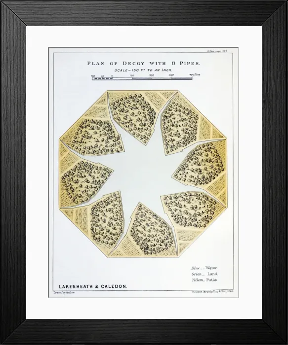 Framed Print : Picture No. 10879827 Framed Print : Picture No. 10879827
