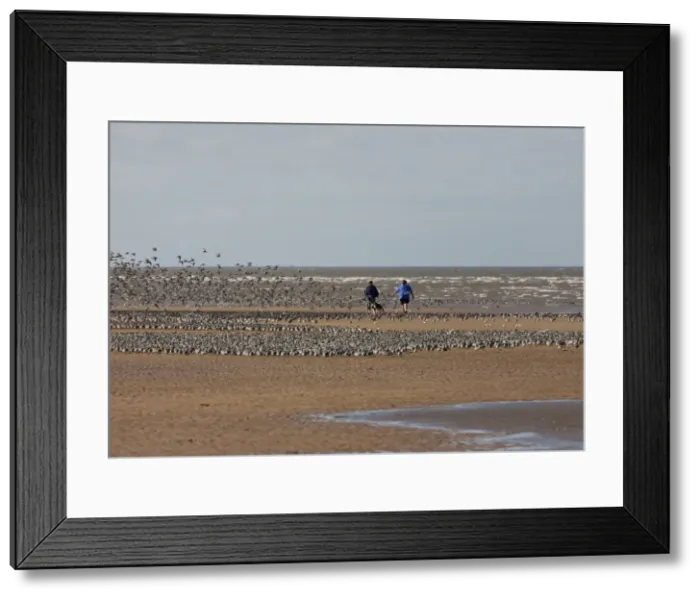 Framed Print : Picture No. 10877394 Framed Print : Picture No. 10877394