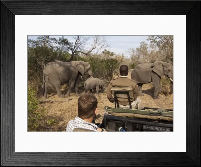 Framed Print : Picture No. 10879182 Framed Print : Picture No. 10879182