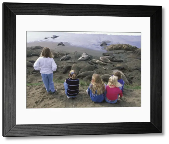 Framed Print : Picture No. 10880268 Framed Print : Picture No. 10880268