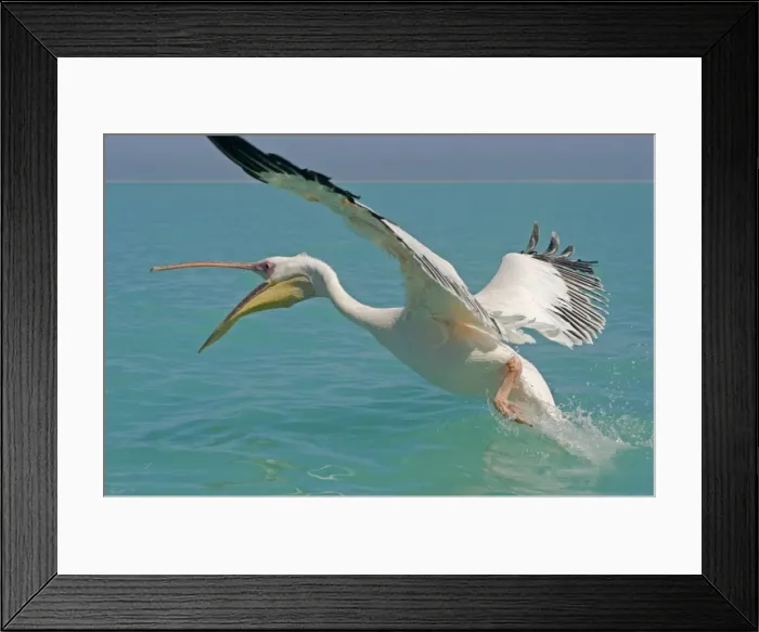 Framed Print : Picture No. 10877583