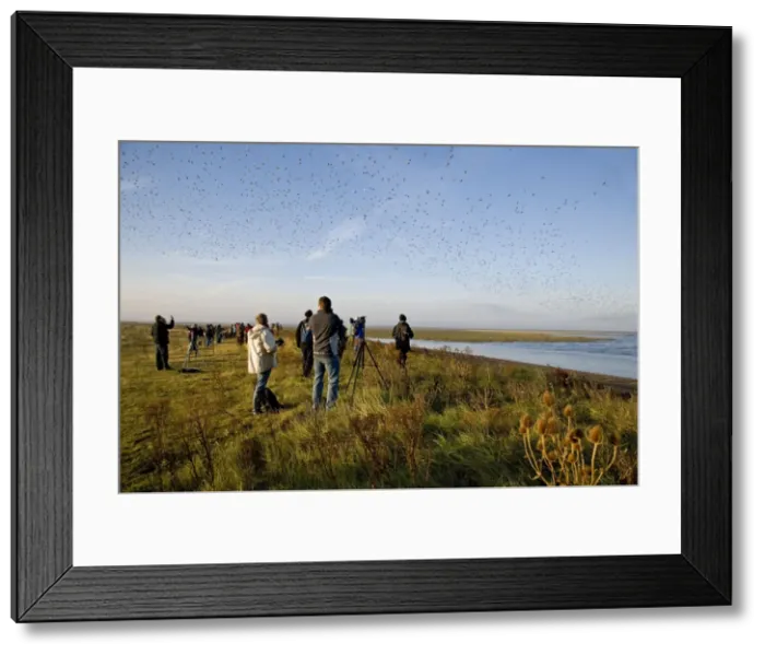 Framed Print : Picture No. 10877385 Framed Print : Picture No. 10877385