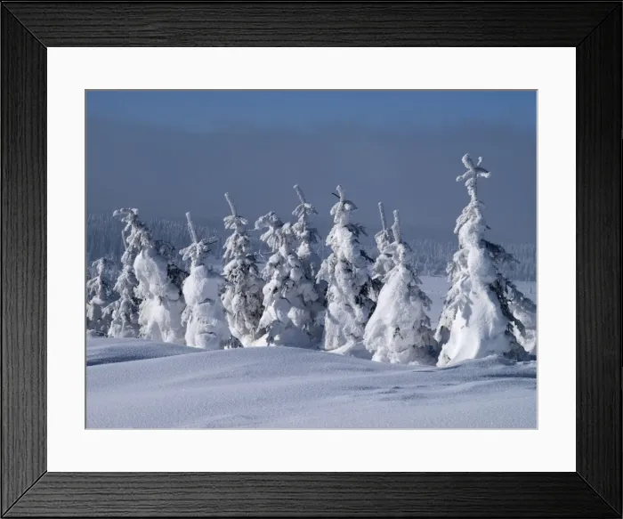 Framed Print : Picture No. 10882644 Framed Print : Picture No. 10882644