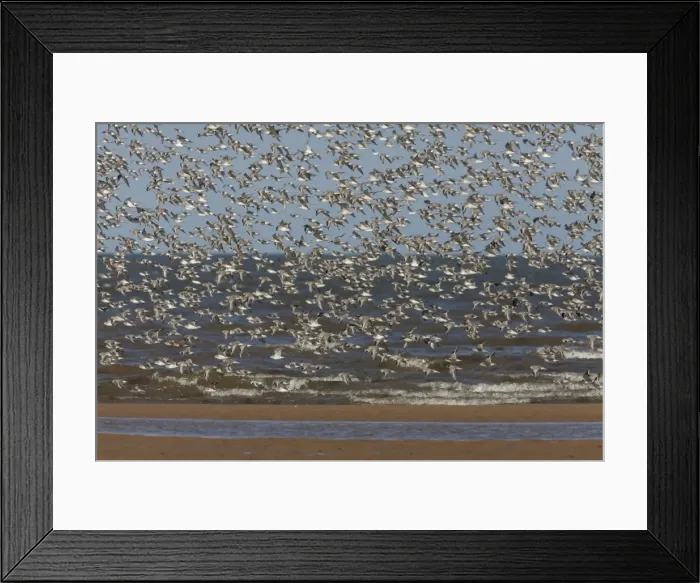 Framed Print : Picture No. 10883055 Framed Print : Picture No. 10883055