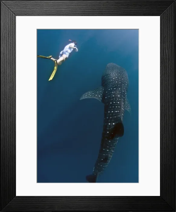 Framed Print : Picture No. 10882800 Framed Print : Picture No. 10882800