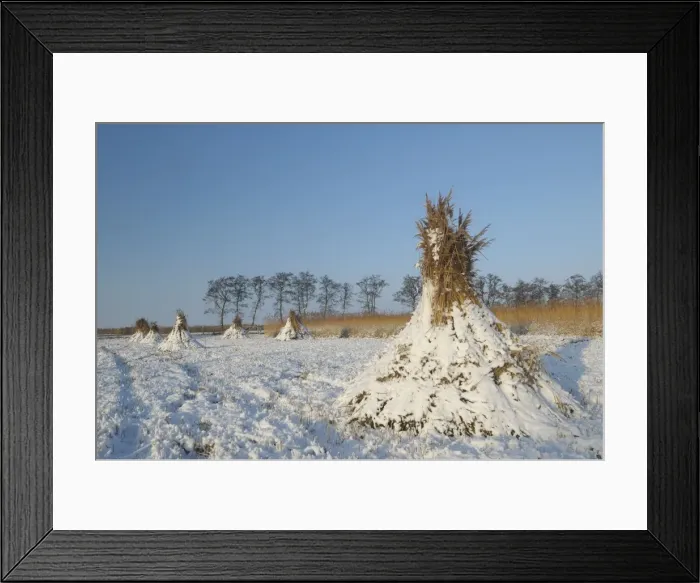 Framed Print : Picture No. 10883421 Framed Print : Picture No. 10883421