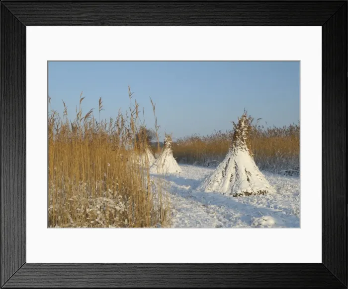 Framed Print : Picture No. 10883422 Framed Print : Picture No. 10883422