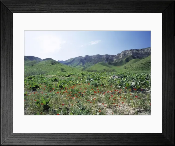 Framed Print : Picture No. 10883471 Framed Print : Picture No. 10883471