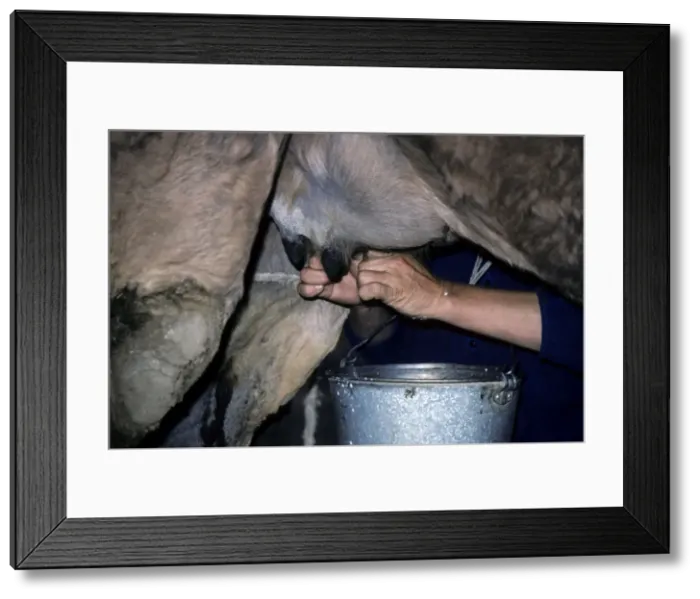 Framed Print : Picture No. 10883461 Framed Print : Picture No. 10883461