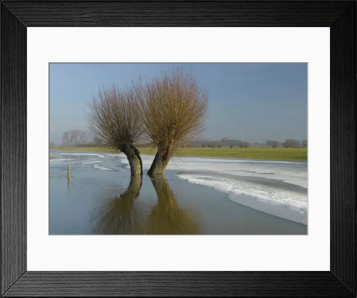 Framed Print : Picture No. 10883425 Framed Print : Picture No. 10883425