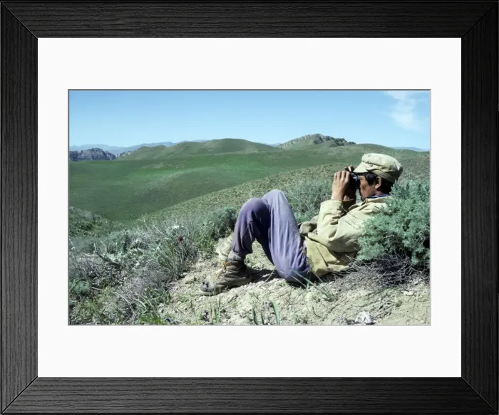 Framed Print : Picture No. 10883483 Framed Print : Picture No. 10883483