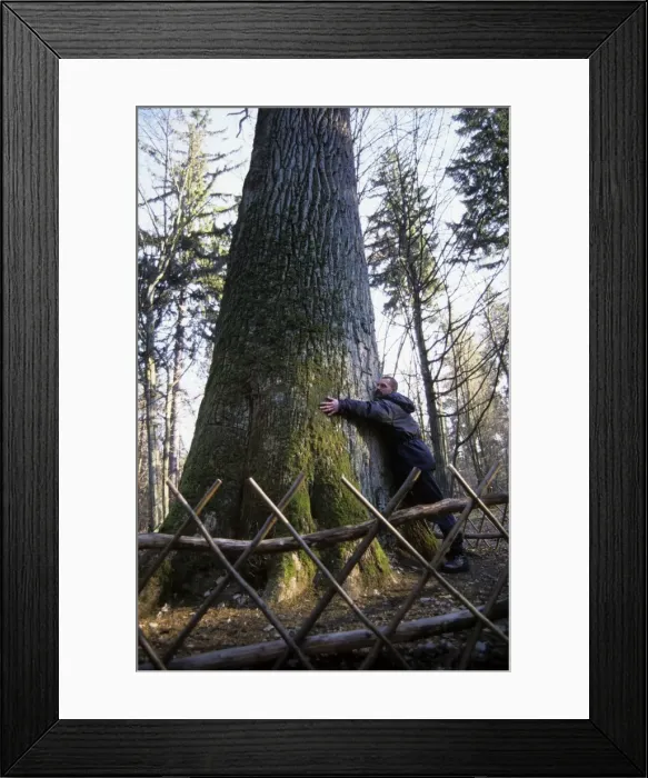 Framed Print : Picture No. 10883450 Framed Print : Picture No. 10883450
