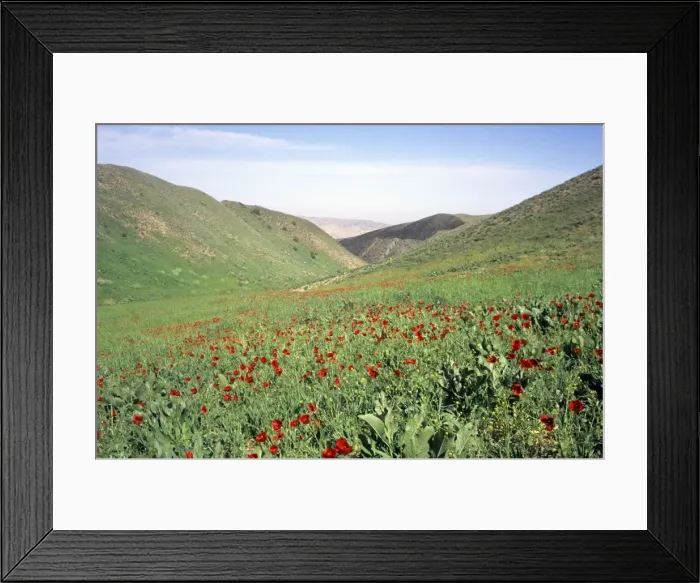 Framed Print : Picture No. 10883466 Framed Print : Picture No. 10883466