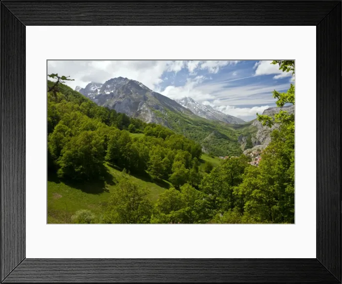 Framed Print : Picture No. 10899517 Framed Print : Picture No. 10899517