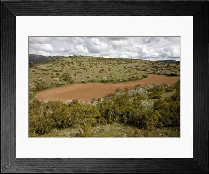 Framed Print : Picture No. 10899523 Framed Print : Picture No. 10899523