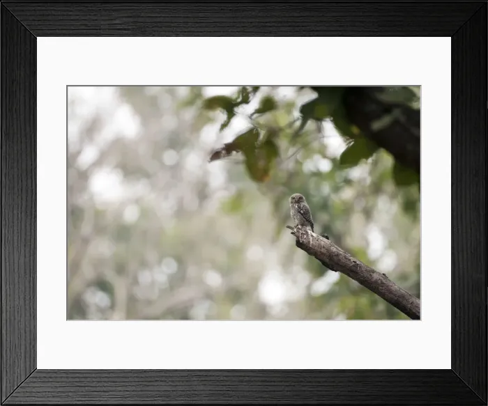 Framed Print : Picture No. 10899622 Framed Print : Picture No. 10899622