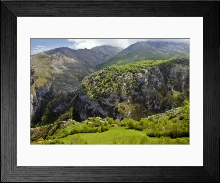Framed Print : Picture No. 10899516