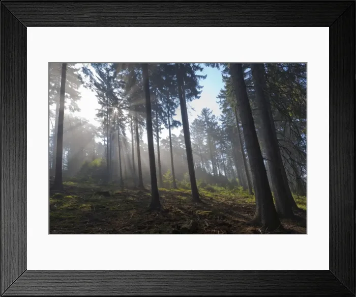 Framed Print : Picture No. 10884421 Framed Print : Picture No. 10884421