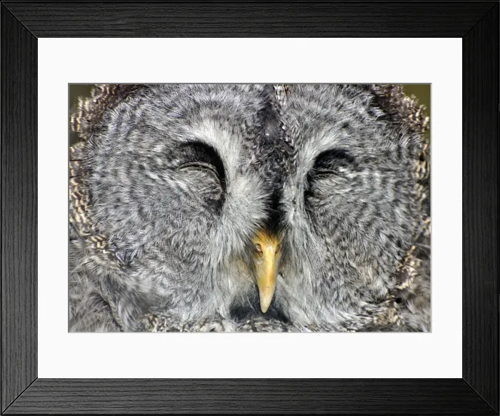 Framed Print : Picture No. 10884151 Framed Print : Picture No. 10884151