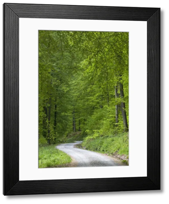 Framed Print : Picture No. 10884414 Framed Print : Picture No. 10884414