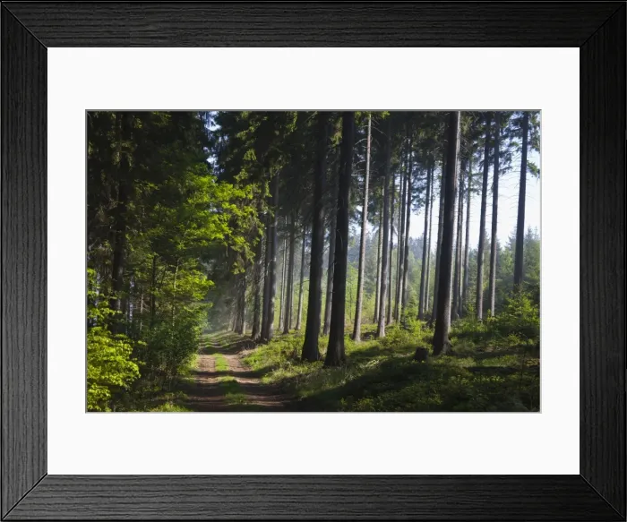 Framed Print : Picture No. 10884422 Framed Print : Picture No. 10884422