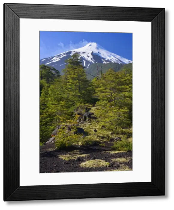 Framed Print : Picture No. 10885088 Framed Print : Picture No. 10885088