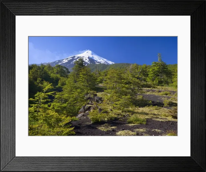 Framed Print : Picture No. 10885087