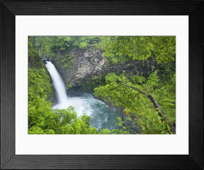 Framed Print : Picture No. 10885091 Framed Print : Picture No. 10885091