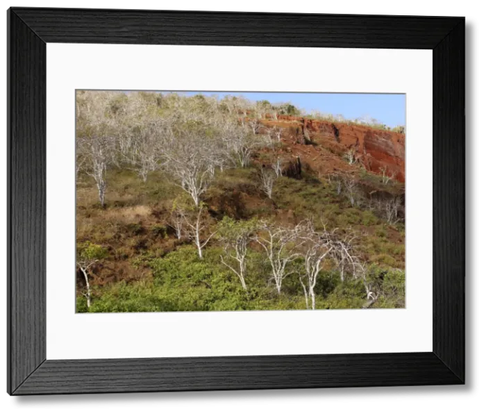 Framed Print : Picture No. 10884848 Framed Print : Picture No. 10884848