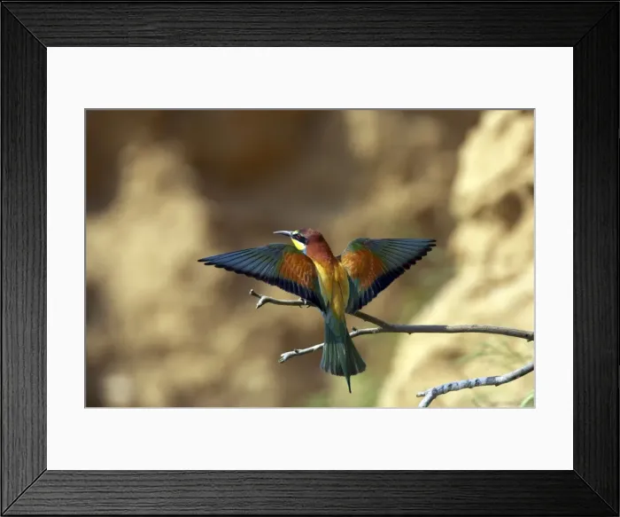 Framed Print : Picture No. 10884055 Framed Print : Picture No. 10884055