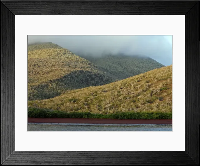 Framed Print : Picture No. 10884850 Framed Print : Picture No. 10884850
