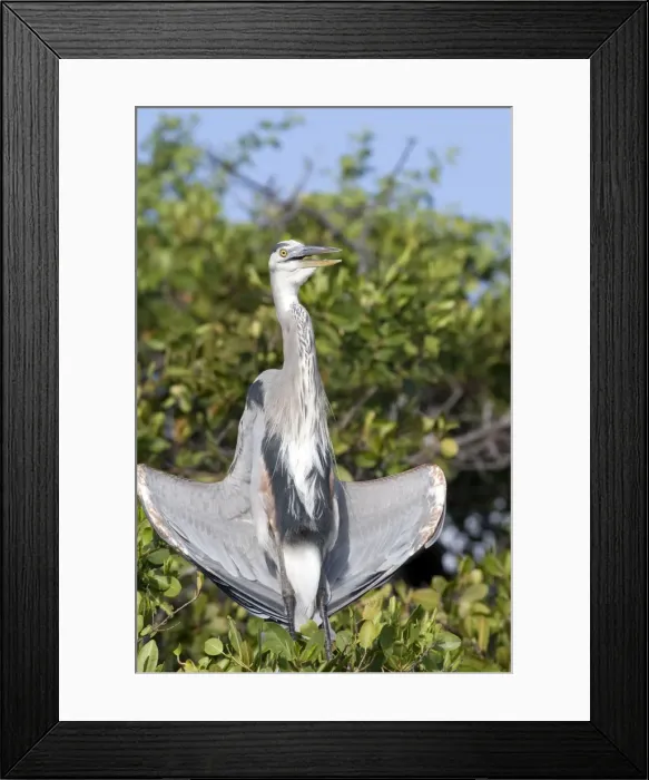 Framed Print : Picture No. 10884906 Framed Print : Picture No. 10884906