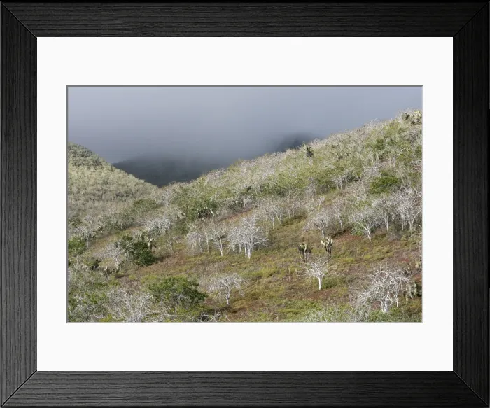 Framed Print : Picture No. 10884847 Framed Print : Picture No. 10884847