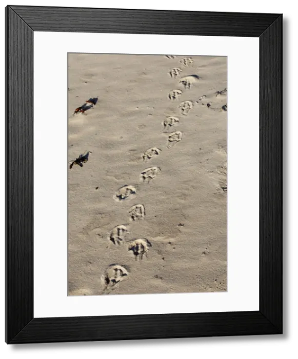 Framed Print : Picture No. 10884727