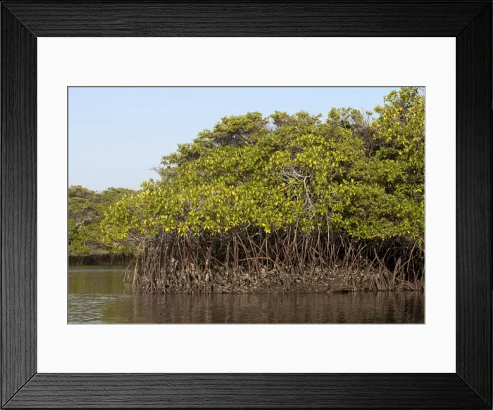 Framed Print : Picture No. 10884913 Framed Print : Picture No. 10884913