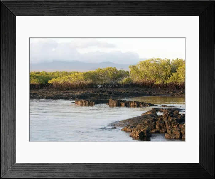 Framed Print : Picture No. 10884914 Framed Print : Picture No. 10884914