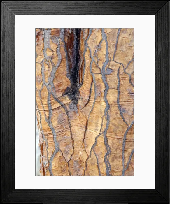Framed Print : Picture No. 10884926 Framed Print : Picture No. 10884926