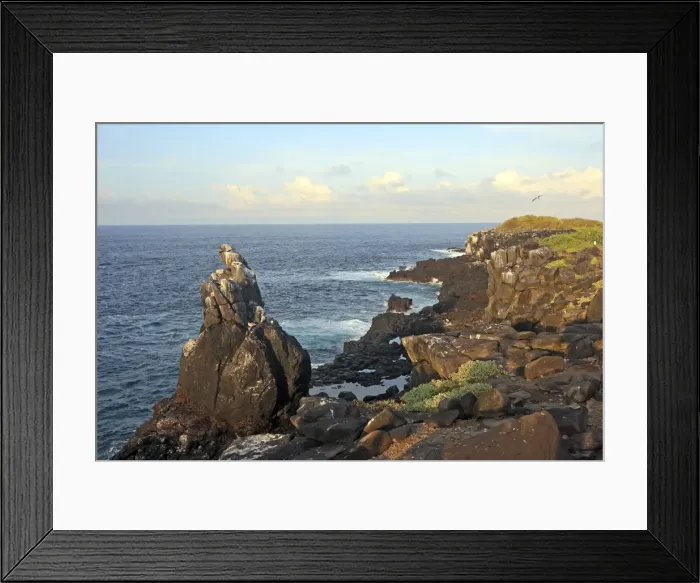 Framed Print : Picture No. 10884940