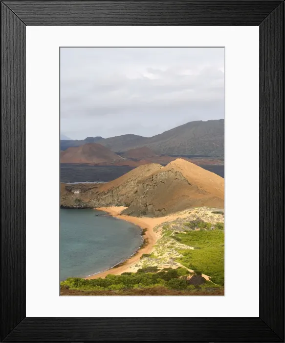 Framed Print : Picture No. 10884866