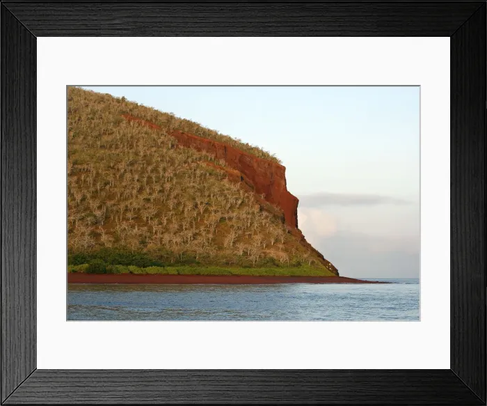 Framed Print : Picture No. 10884849 Framed Print : Picture No. 10884849