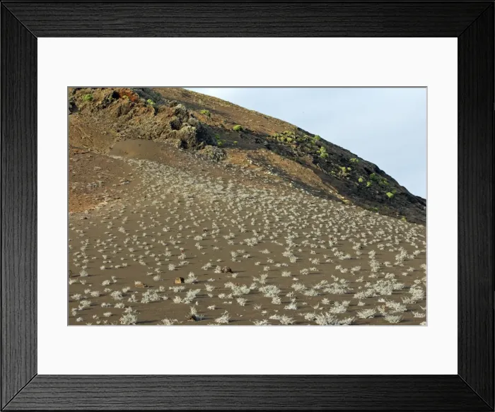 Framed Print : Picture No. 10884870