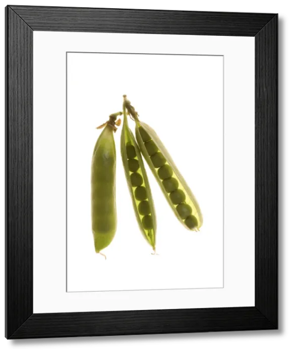Framed Print : Picture No. 10886410 Framed Print : Picture No. 10886410