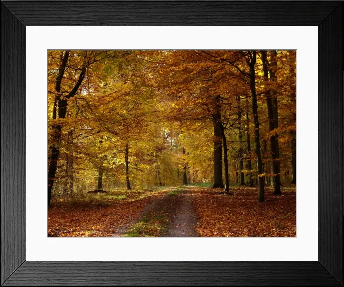 Framed Print : Picture No. 10886462 Framed Print : Picture No. 10886462