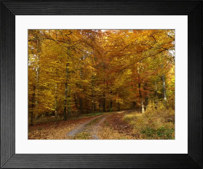 Framed Print : Picture No. 10886463 Framed Print : Picture No. 10886463