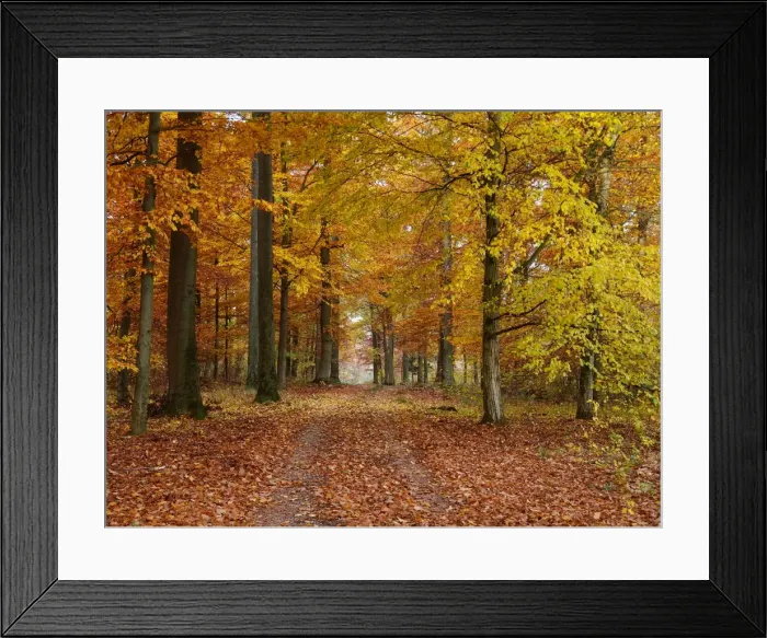 Framed Print : Picture No. 10886461 Framed Print : Picture No. 10886461