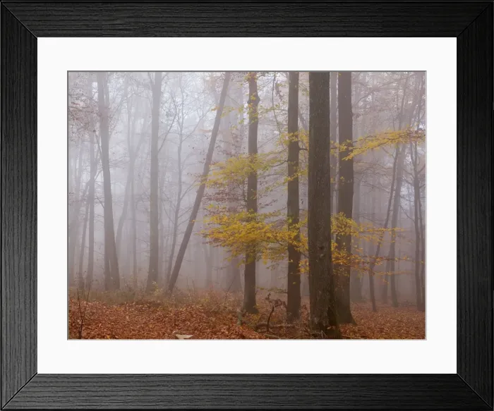 Framed Print : Picture No. 10886466 Framed Print : Picture No. 10886466